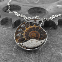 Fossilized Ammonite Steampunk Pendant by Cognitive Creations